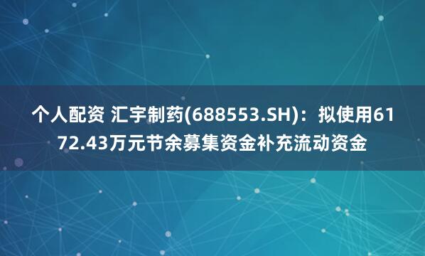 个人配资 汇宇制药(688553.SH)：拟使用6172.43万元节余募集资金补充流动资金