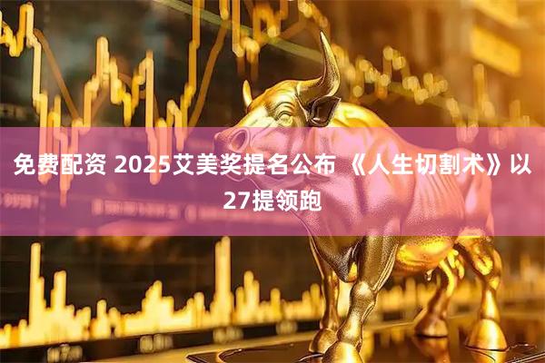 免费配资 2025艾美奖提名公布 《人生切割术》以27提领跑
